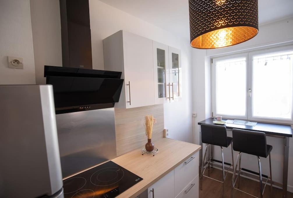 New Appartement Proche Gare Et Centre-Ville Кольмар Экстерьер фото